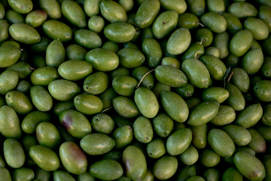 Ingredient spotlight: squalane