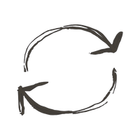 Grass-fed & regenerative sourcing